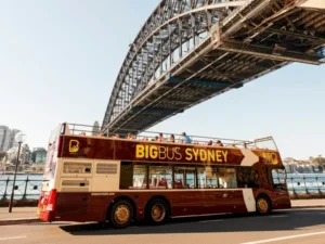 Big Bus Tour