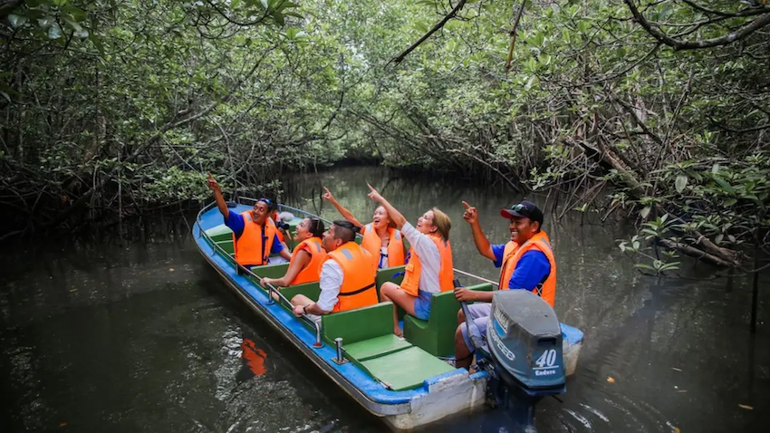 Cassia Bintan activities, Mystical Mangrove Journey