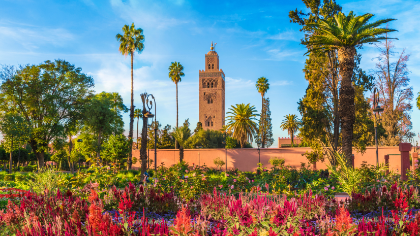 Morocco Marrakesh