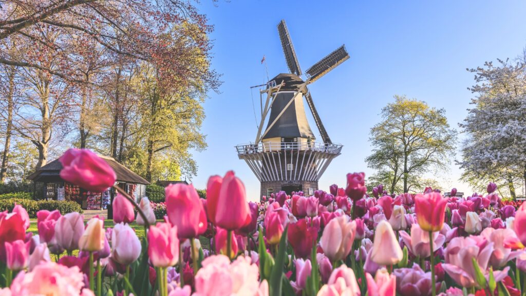 Keukenhof