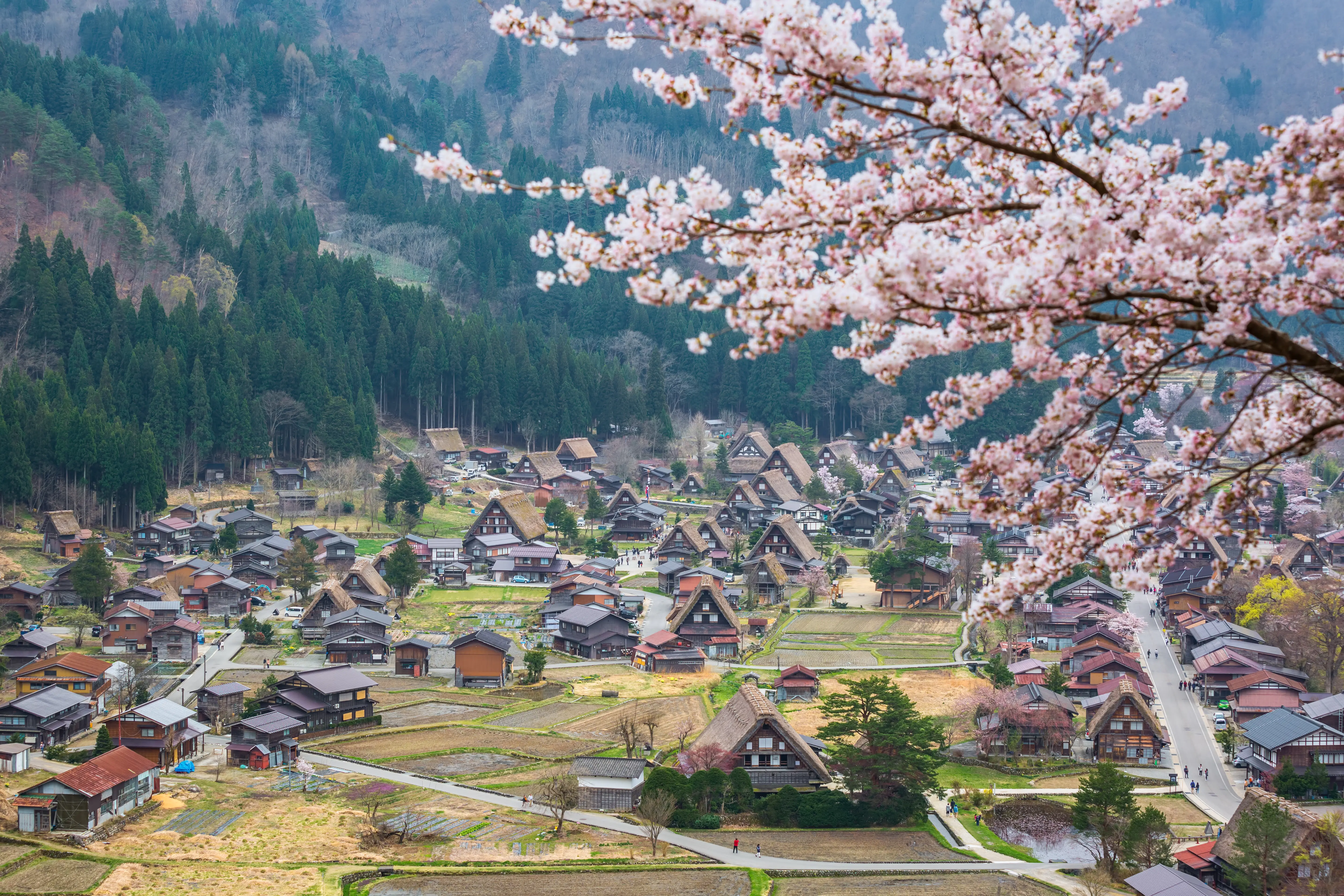 Shirakawa Go Spring Season