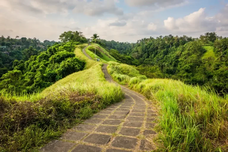 Campuhan Ridge Walk