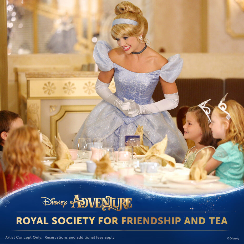 DCL DA Social Royal Society 1x1 1