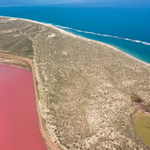 Pink Lake