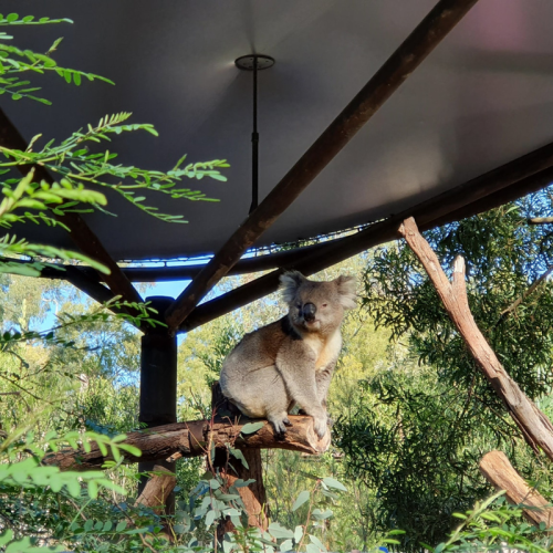 Healesville Sanctuary