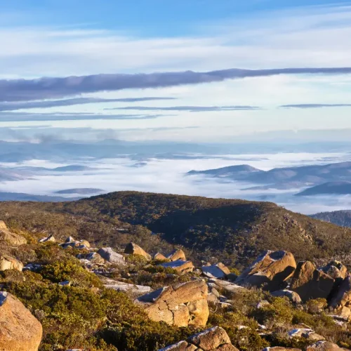 Mt Wellington